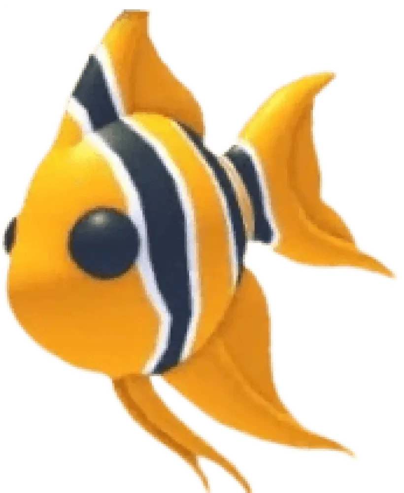 Angelfish