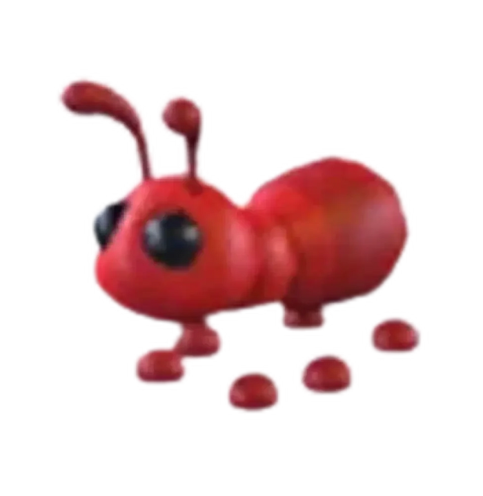 Ant