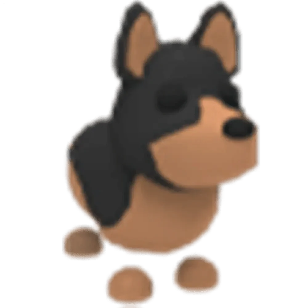Australian Kelpie