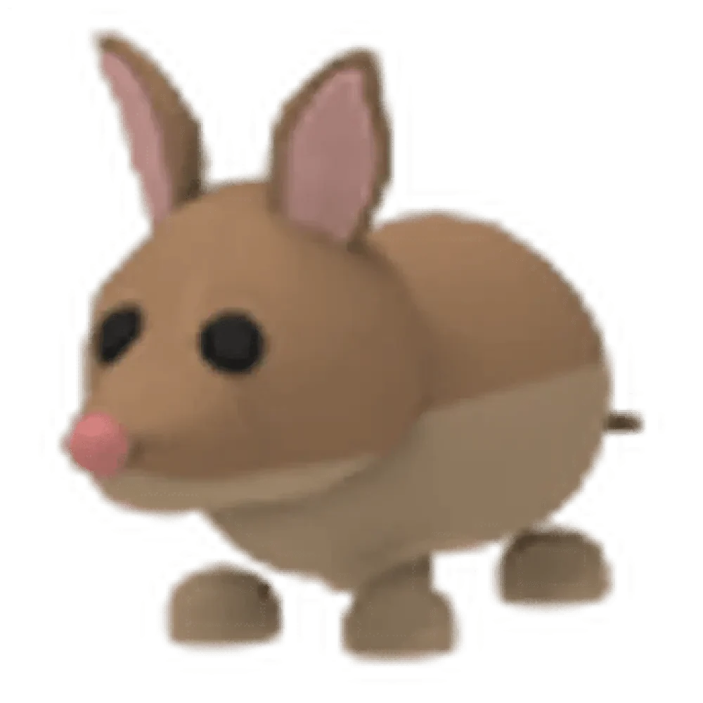 Bandicoot
