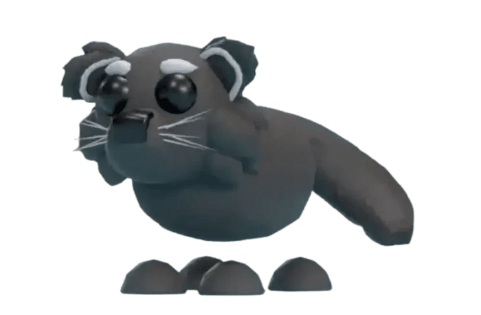 Binturong