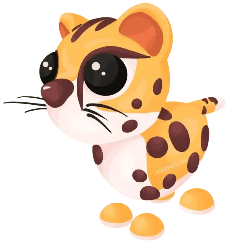 Cheetah