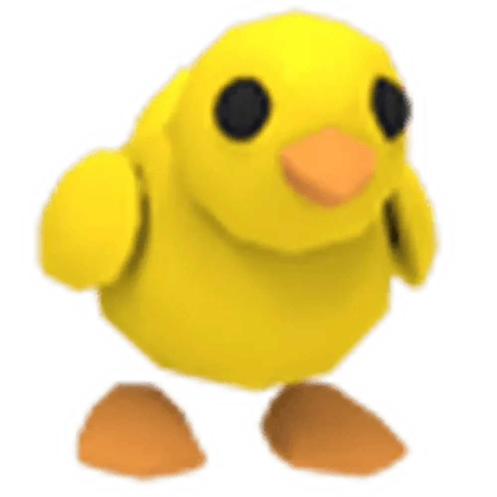 Chick