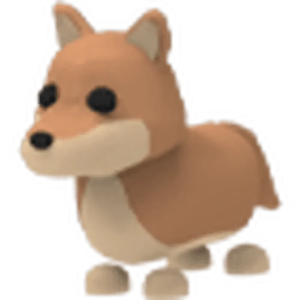 Dingo
