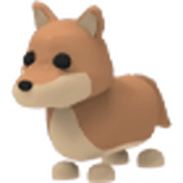 Dingo