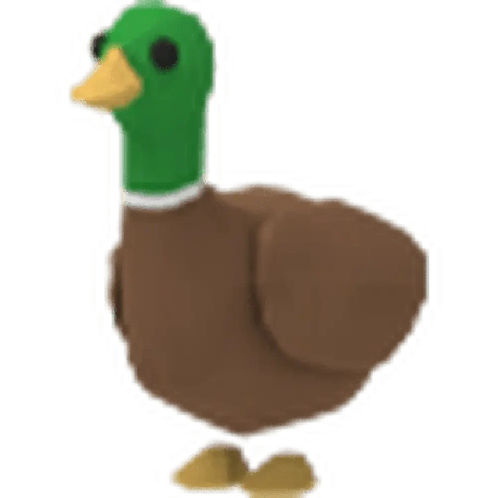 Drake
