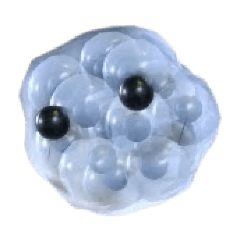 Frogspawn