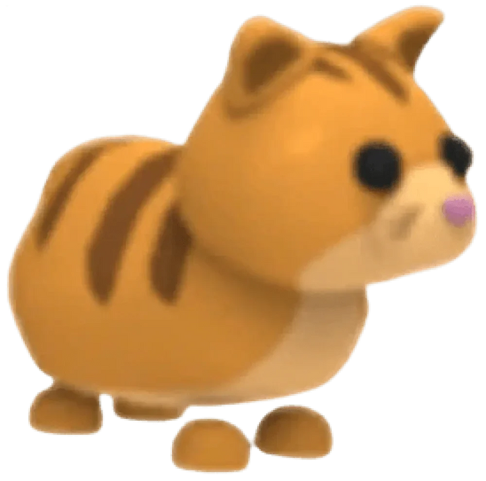 Ginger Cat
