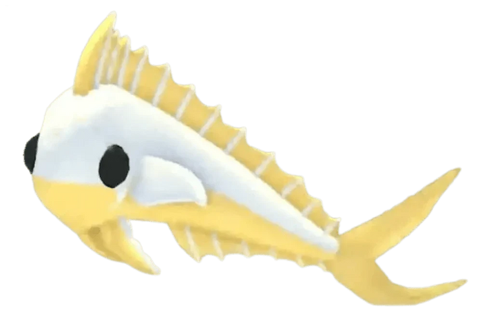 Gold Mahi Mahi