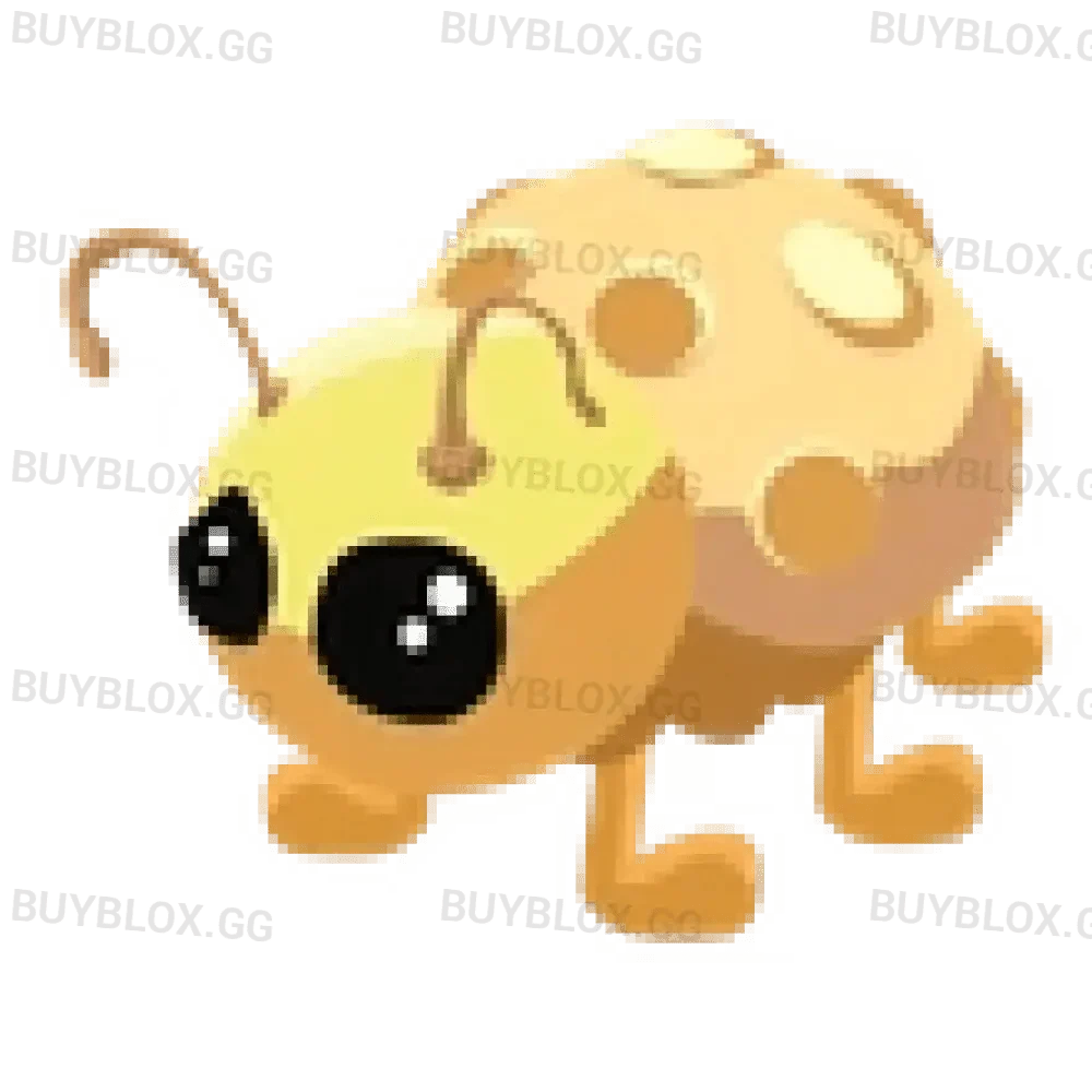 Golden Ladybug