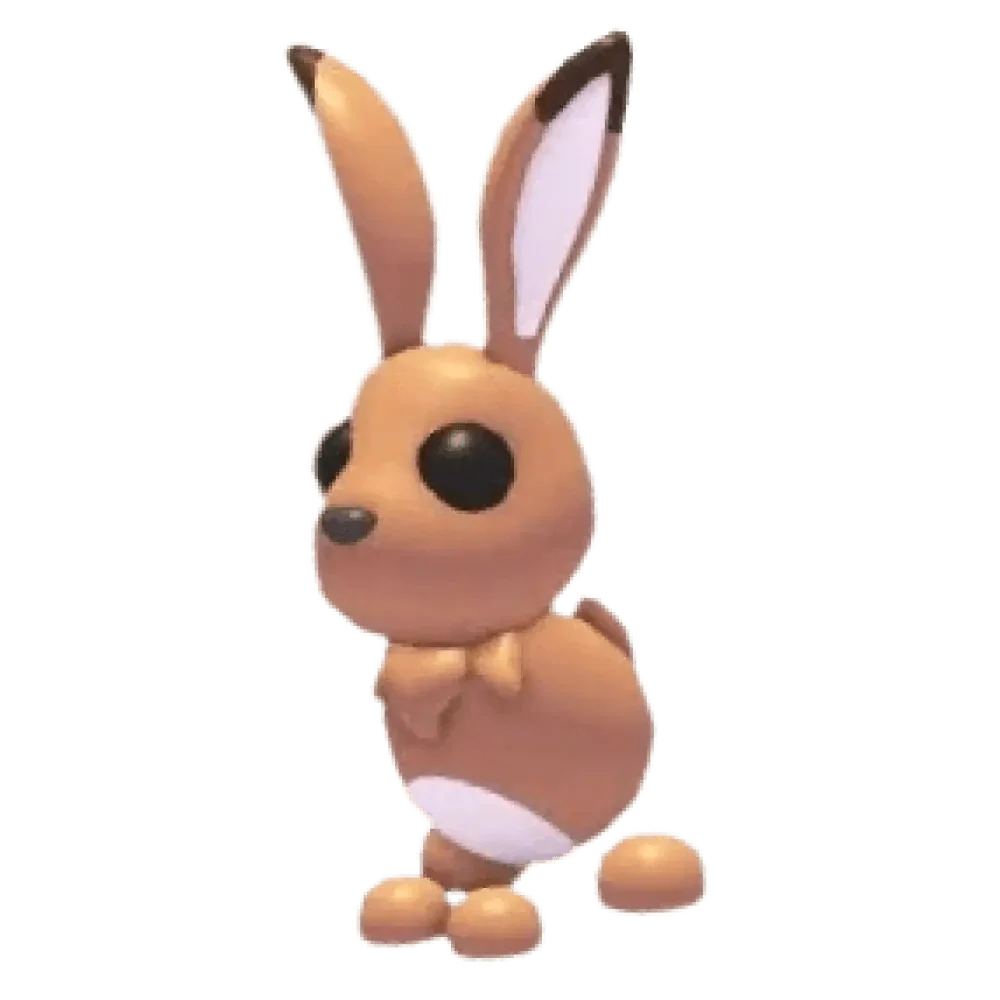 Hare