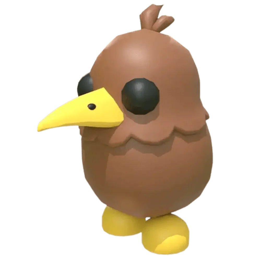 Kiwi