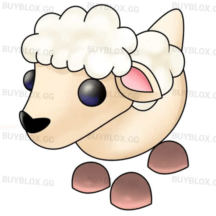 Lamb
