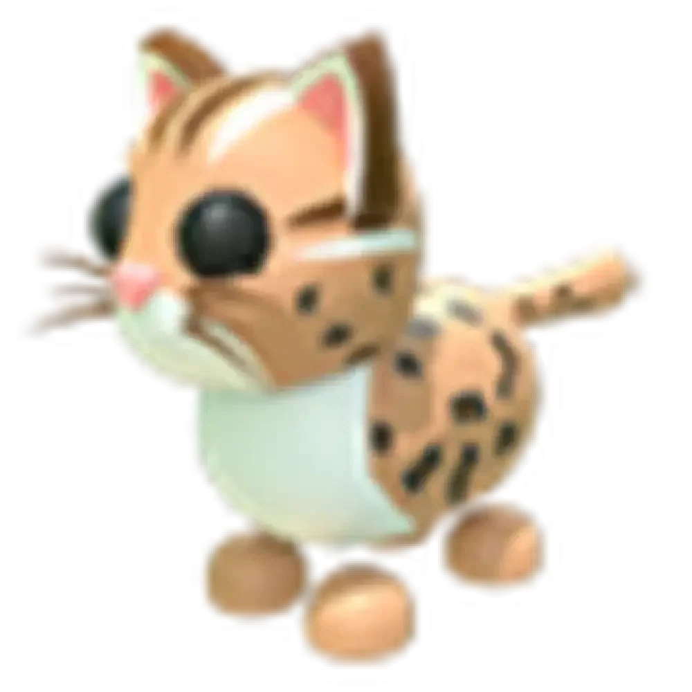 Leopard Cat