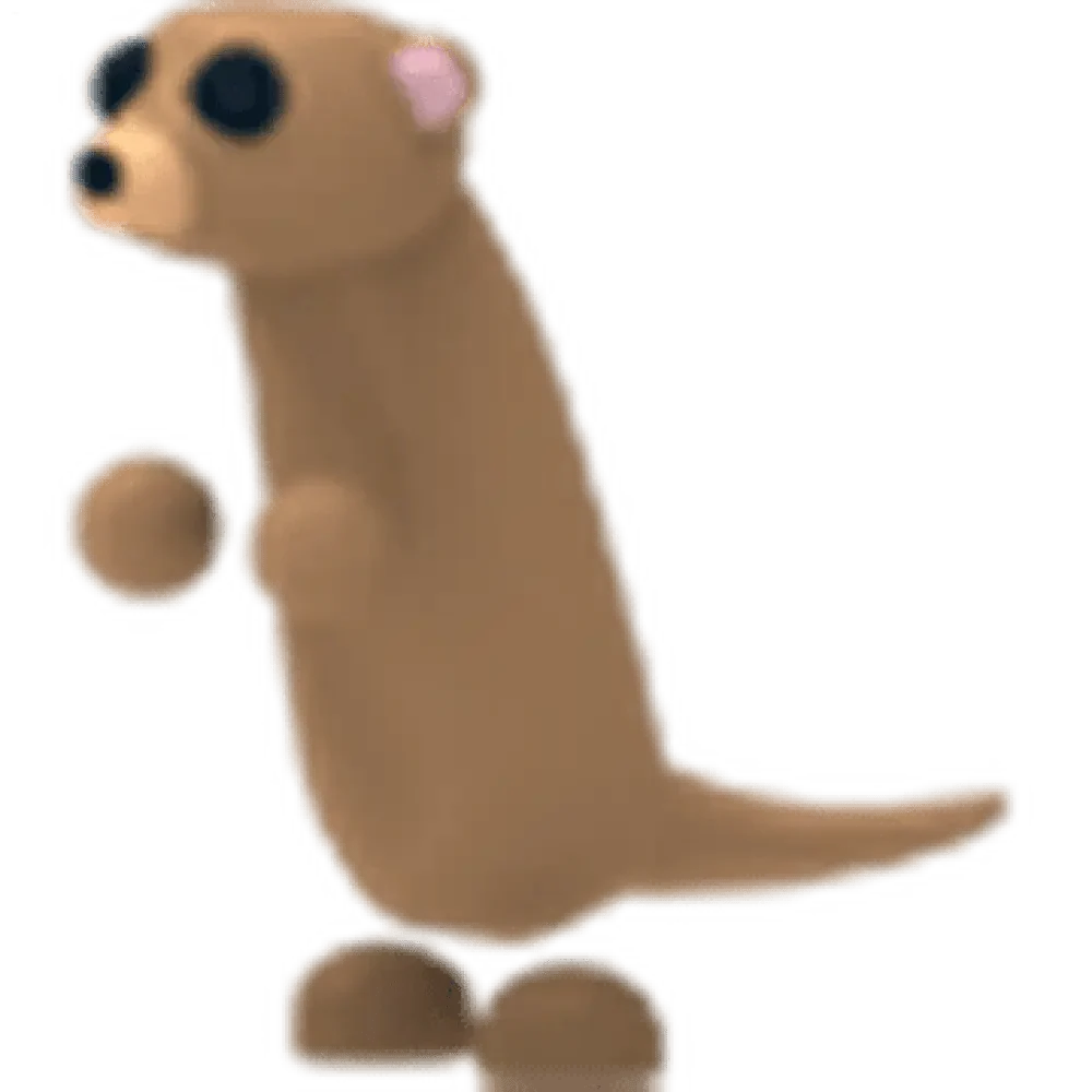 Meerkat