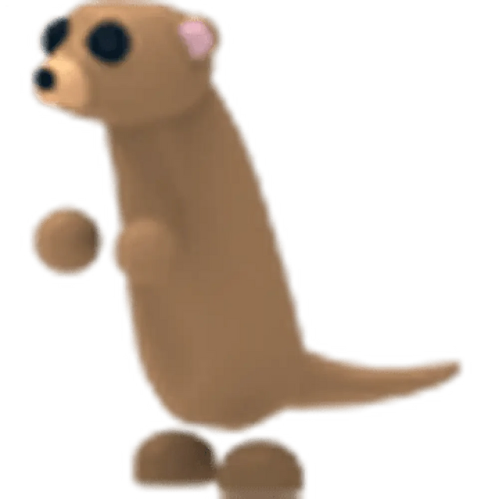 Meerkat