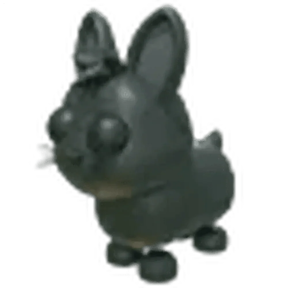 MFR Amami Rabbit