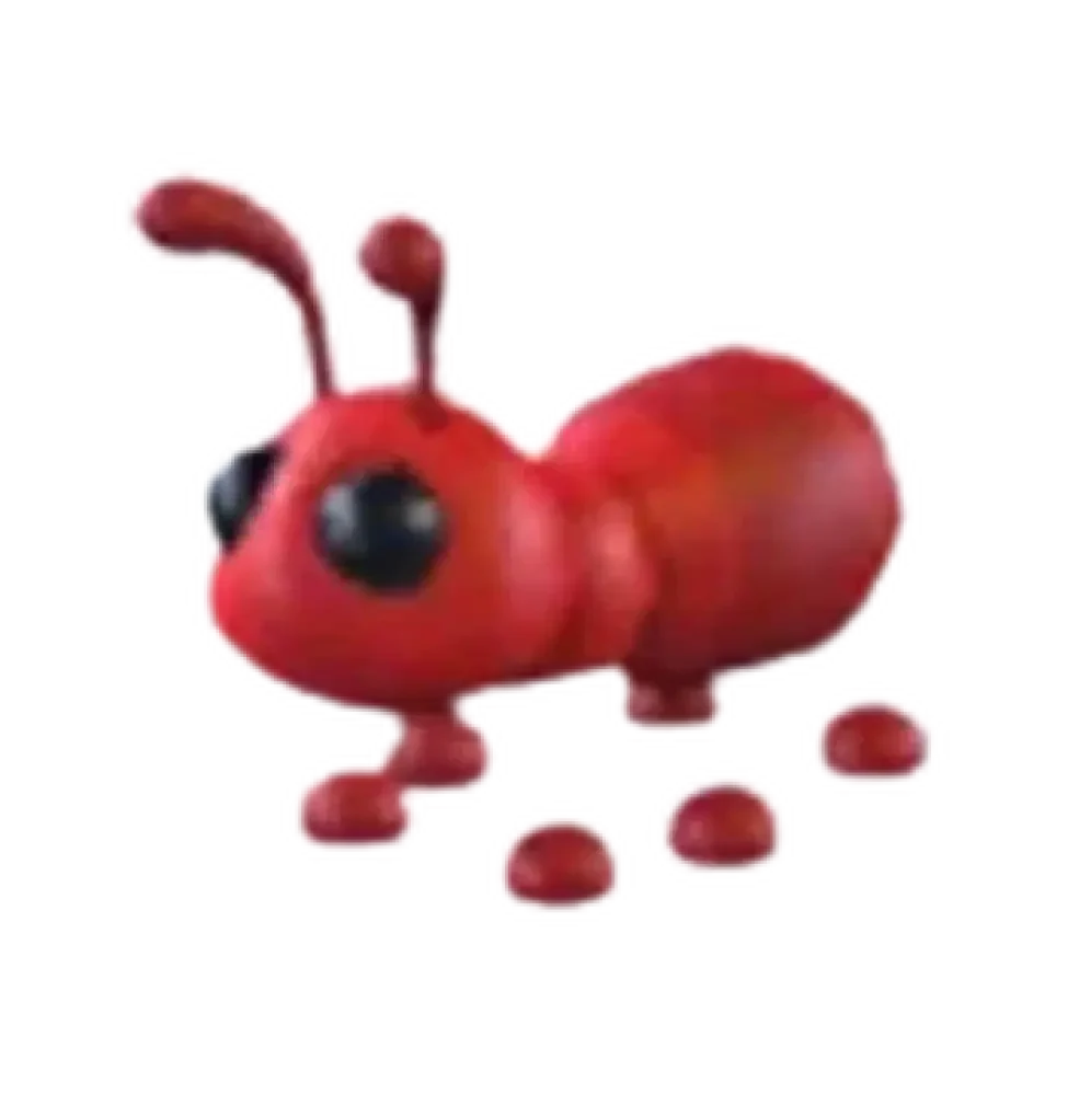 MFR Ant