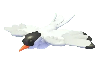 MFR Arctic Tern