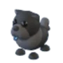 Black Chow-Chow