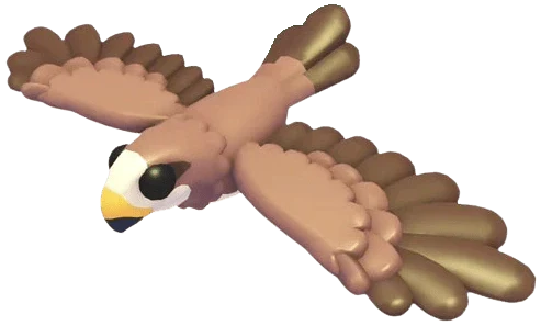 Black Kite