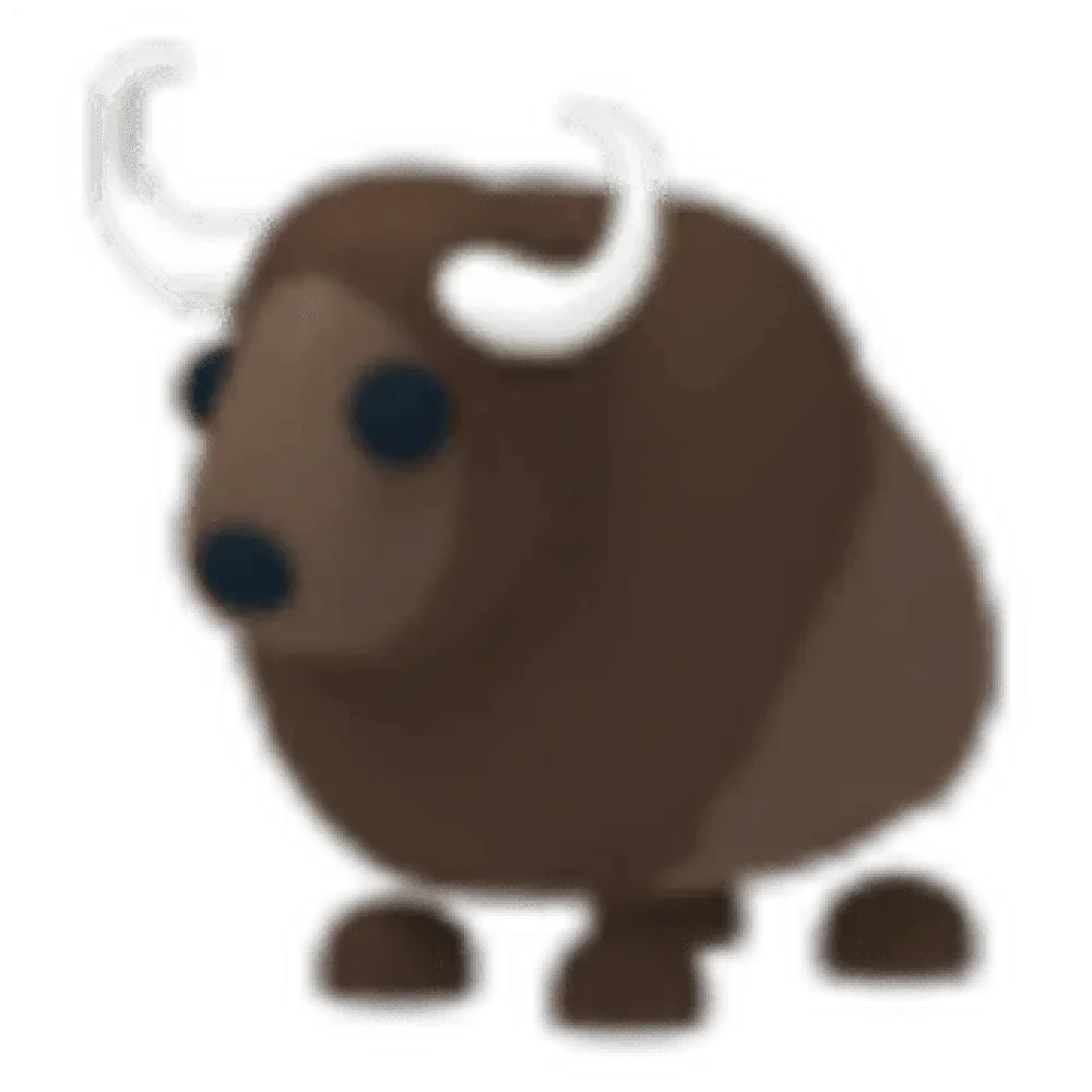 MFR Buffalo