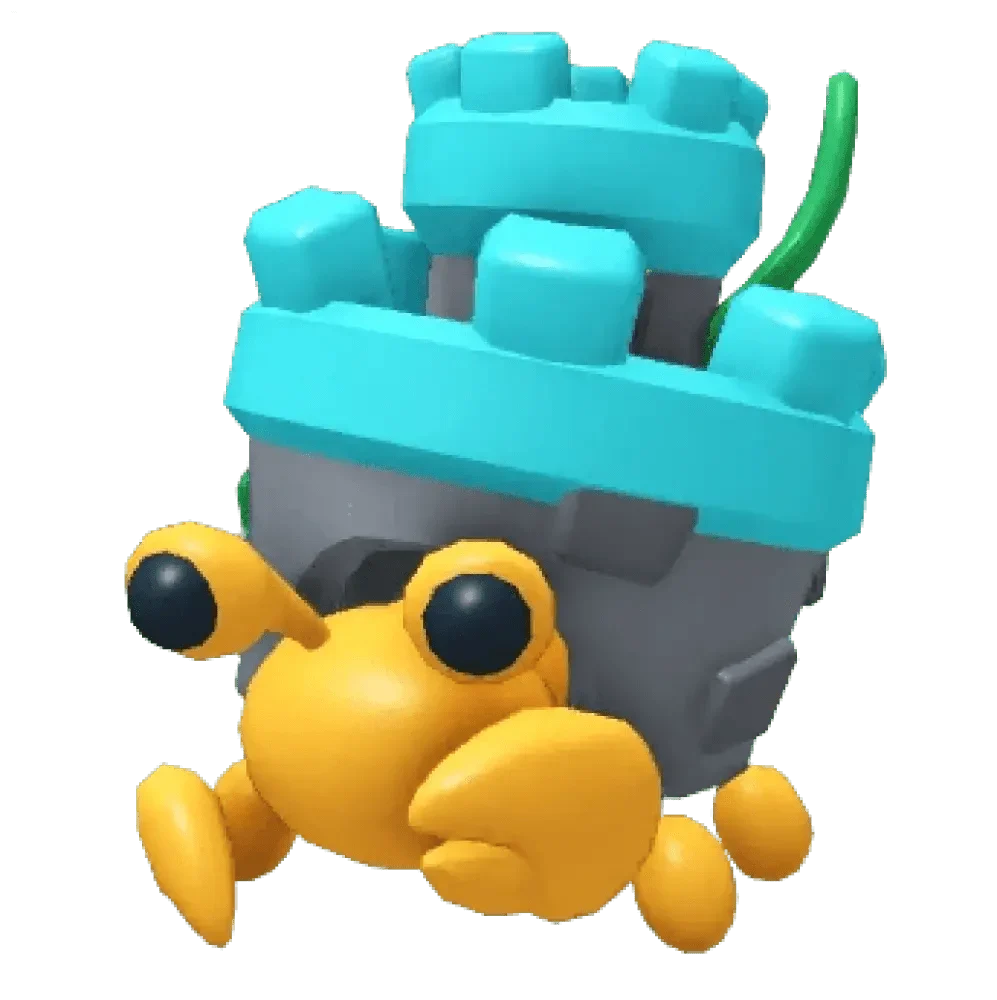 MFR Castle Hermit Crab