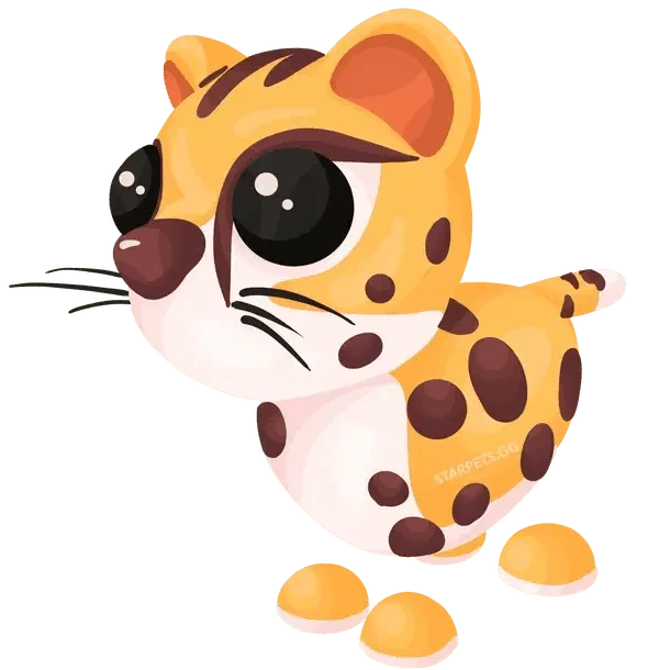 MFR Cheetah