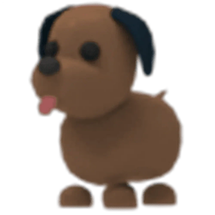 MFR Chocolate Labrador