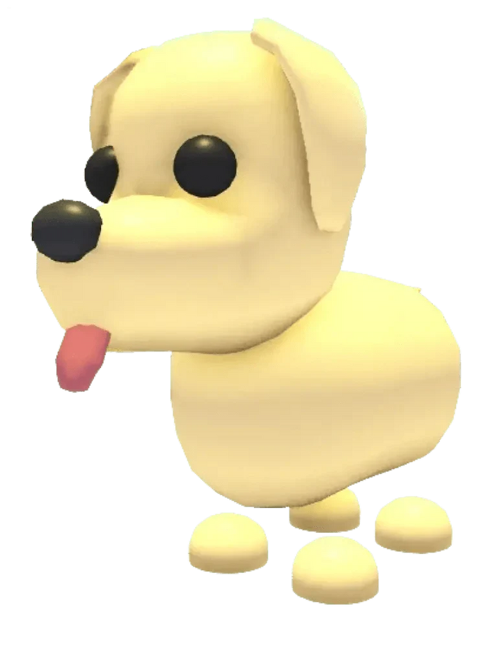MFR Dog