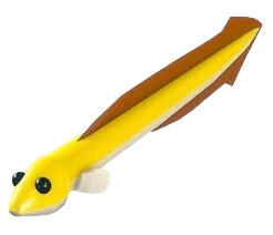 Eel