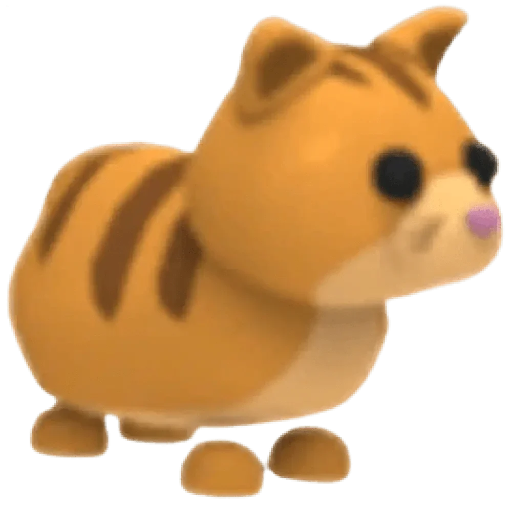 MFR Ginger Cat