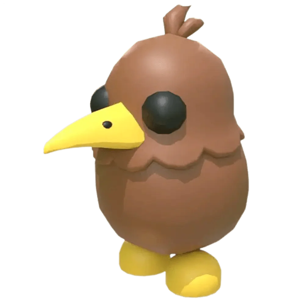 MFR Kiwi