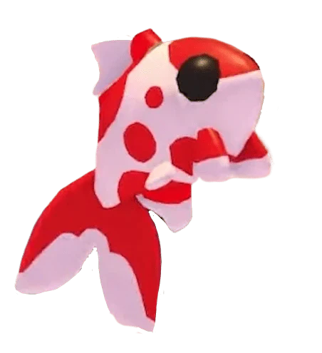Koi Carp