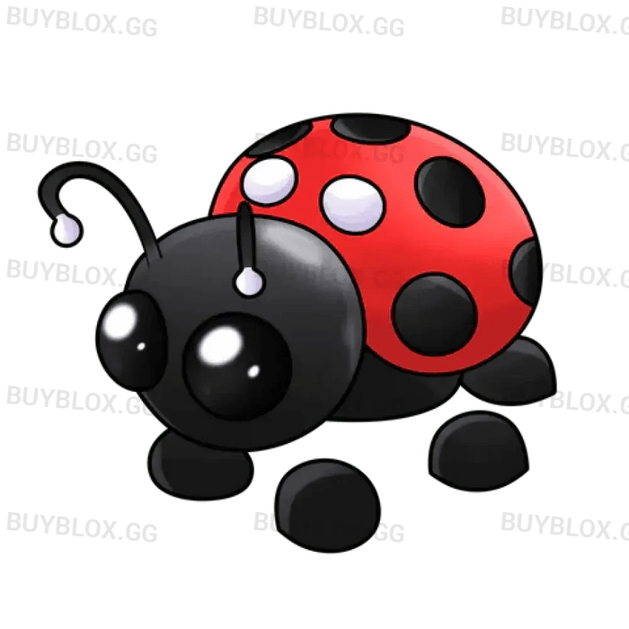 MFR Ladybug