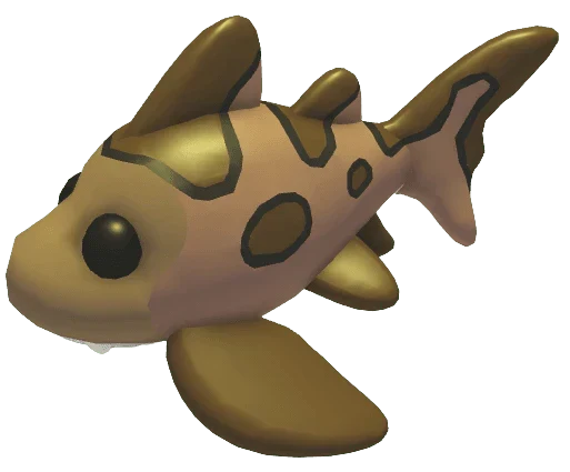 Leopard Shark