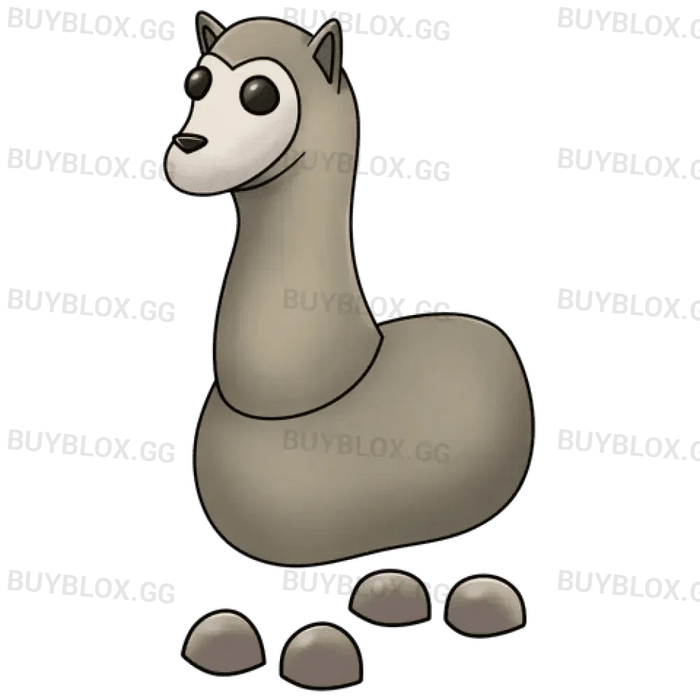 MFR Llama