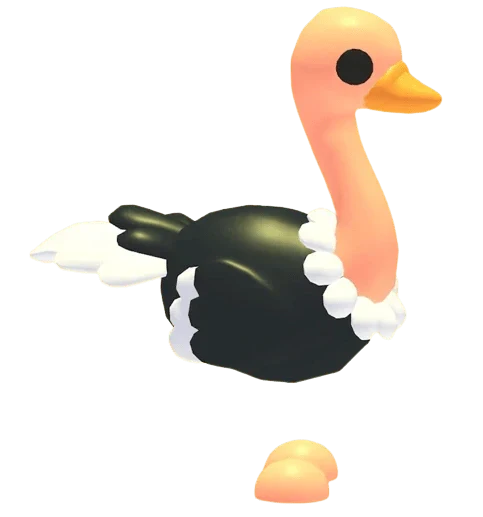 Ostrich