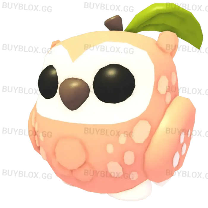 MFR Peach Owl