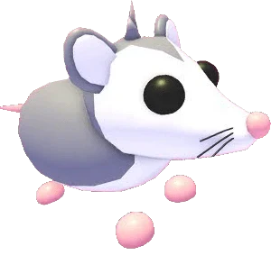 Possum