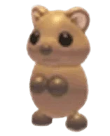 MFR Quokka