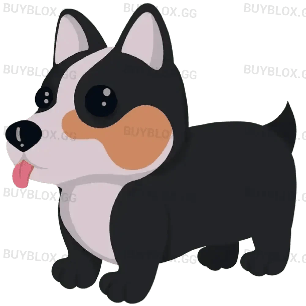 MFR Royal Corgi