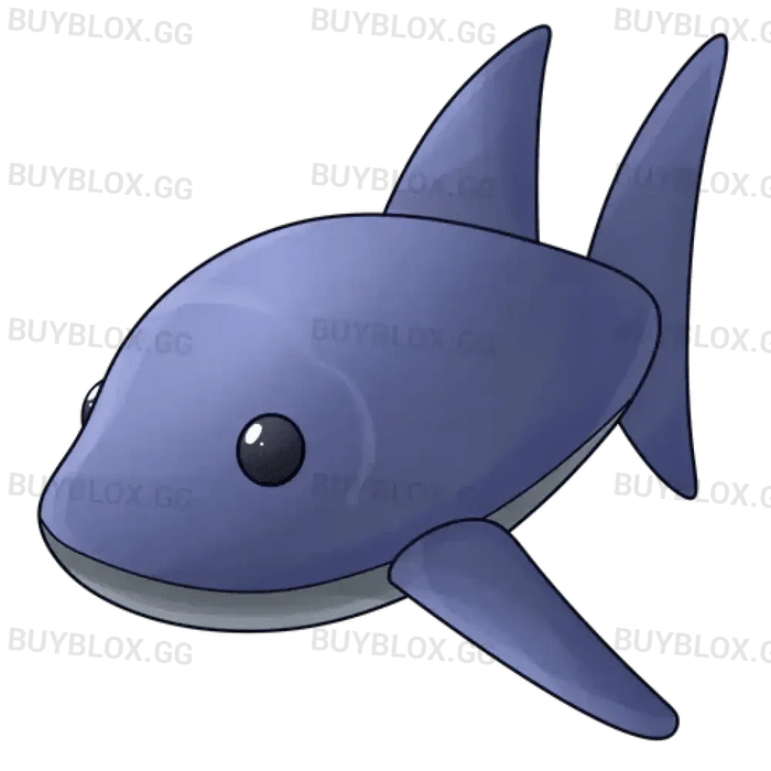 MFR Shark