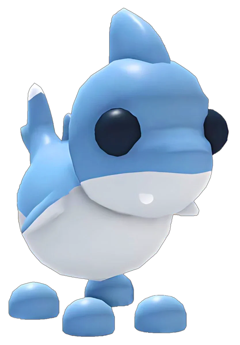 Shark Puppy