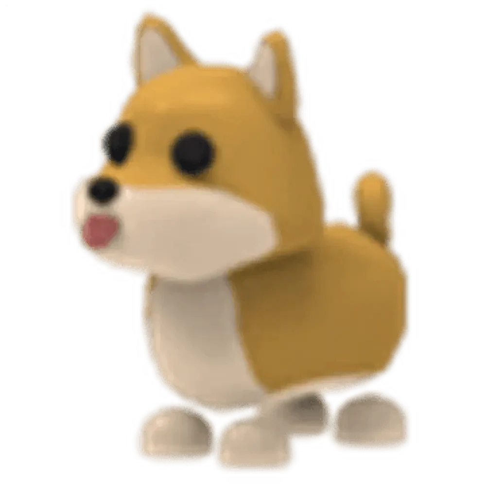 MFR Shiba Inu