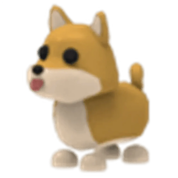 MFR Shiba Inu