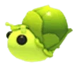 MFR Sprout Snail