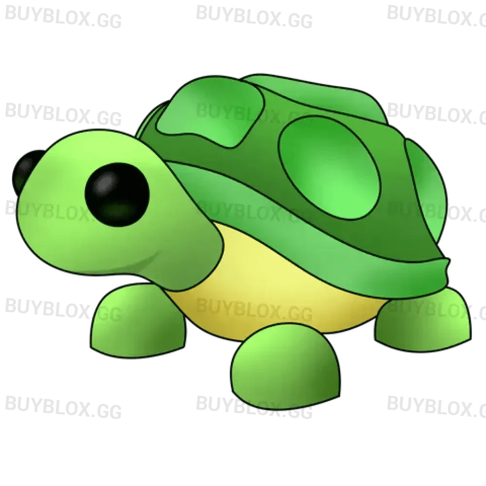 MFR Turtle