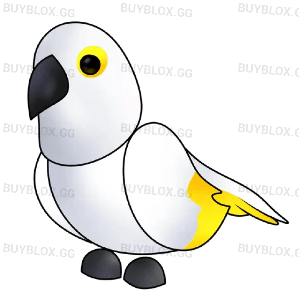 MFR White Amazon