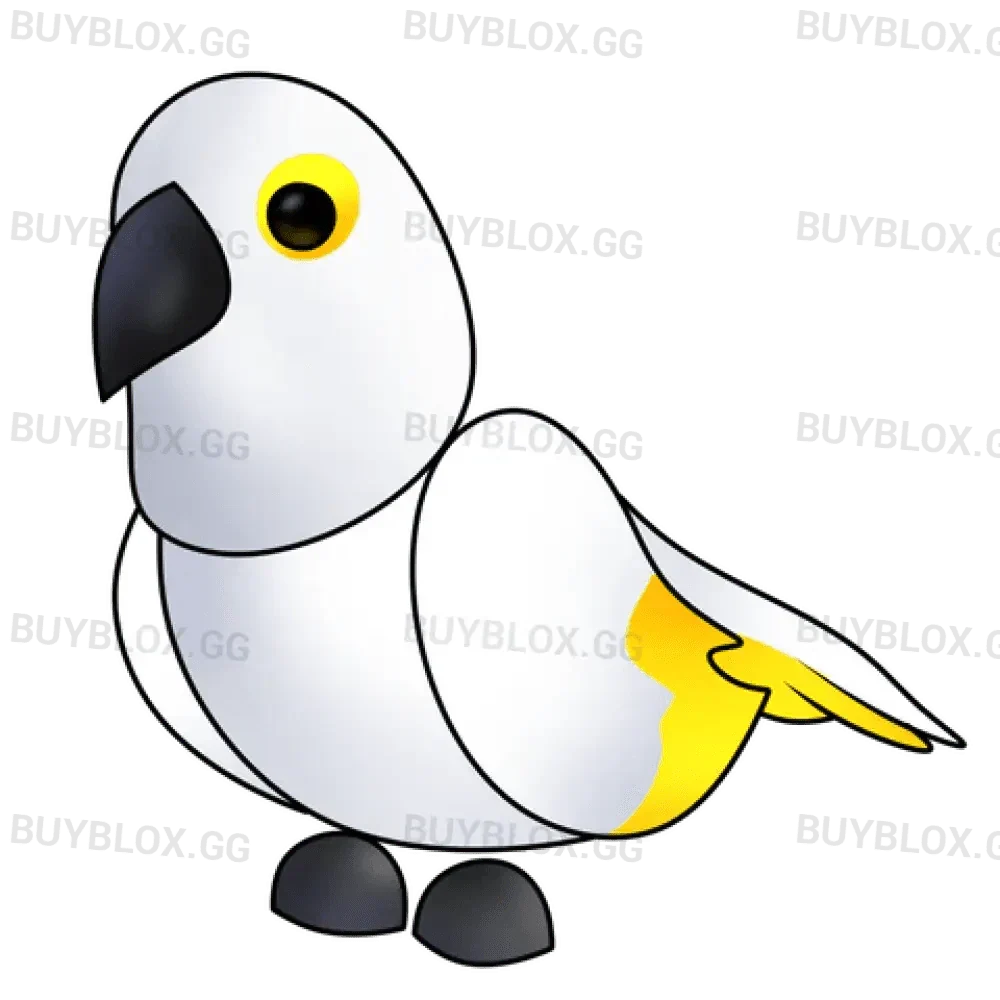 NFR White Amazon